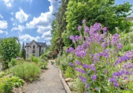 Hotel Promenade Hotels near Rhine Falls