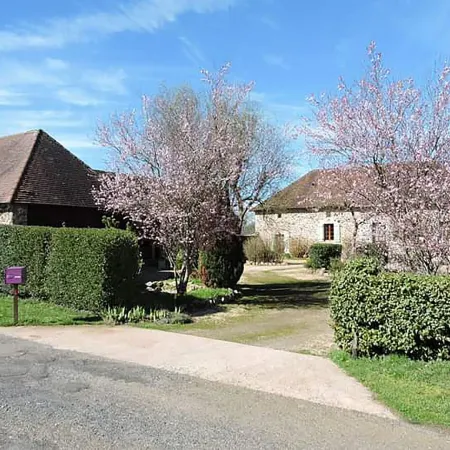 The Alpaca B&B
