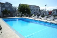 Mt Royal Motel - Beach