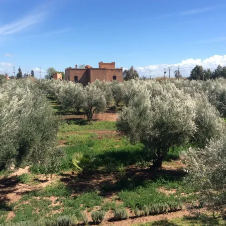 Ferme Sidi Safou & Spa