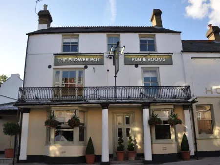 Flower Pot Hotel Отели в г. Шеппертон