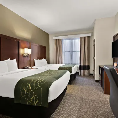 كومفرت سويتس ناشفيل نير بيرسي بريست ليك Hotels near الهيرميتاج