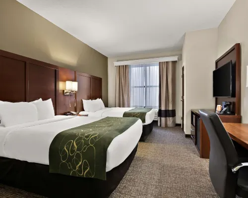 Comfort Suites Hotels near The Hermitage