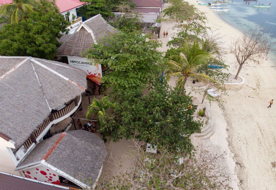 4. 히포캠퍼스 비치..