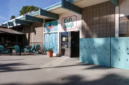 Desert Hot Springs Spa Hotel Отели рядом с достопримечательностью «Ту Банч Палмс Элементари Скул»