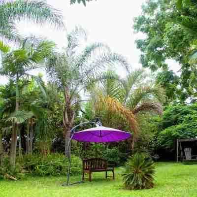 Lush Gardens Apartment 1 Hotel Exterior