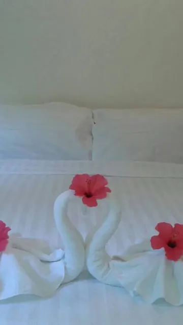 ซูพีเรียร์อะพาร์ตเมนต์