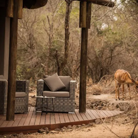 Moditlo River Lodge