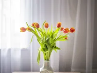 Easy Rent- Gusto, Centrum, 24h Check-IN ルブリンのホテル