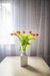 Easy Rent- Gusto, Centrum, 24h Check-IN