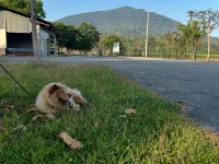 Santillana Hillside Farms Magalang 호텔