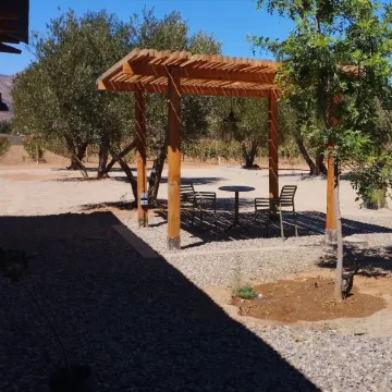 Alma Liebre Viñedos del Valle