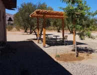 Alma Liebre Viñedos del Valle