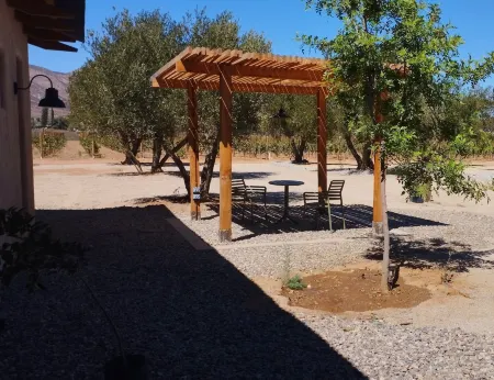 Alma Liebre Viñedos del Valle