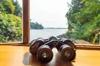 Secluded Oceanfront - Upstairs - Ocean View