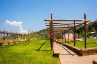 Villa Antea in Massa Lubrense