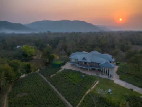 瓦尼綠色酒店 瑙貢酒店