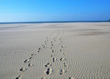 Apartment in Nieuwpoort Near Beach & Marina