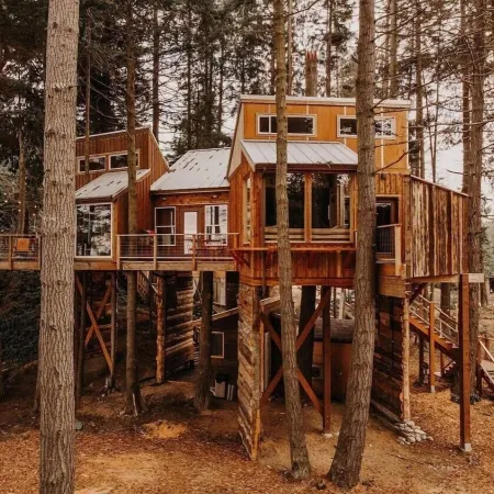 Treehouse over the Water - Eagle's Nest