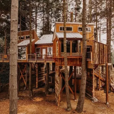 Treehouse over the Water - Eagle's Nest - Chalets