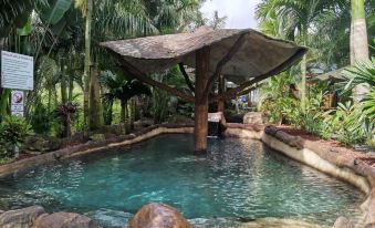 Hotel Palmera Real Hot Springs