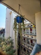 호텔 스리 두르가