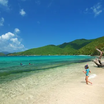 Villa Coco De Mer at Peter Bay Estate - Your Own Private Beach