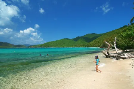 Villa Coco De Mer at Peter Bay Estate - Your Own Private Beach