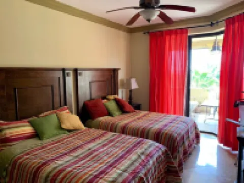 Stunning Beachfront Condo with Ocean View, few steps from the sand
