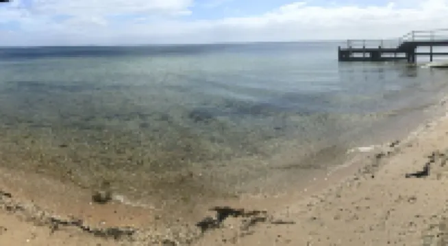 Little Port Cottage - Enjoy a bush setting and  a beach around the corner