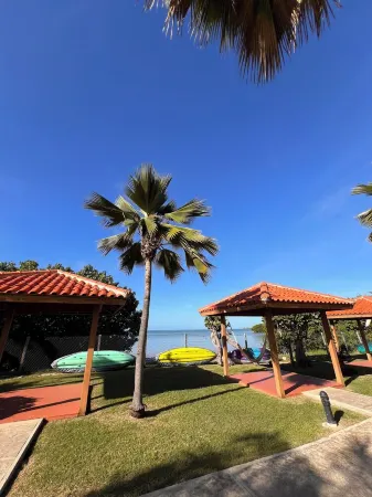 Sol y Mar - Oceanfront Condo! Отели в г. Бокерон