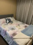 Comfortable and spacious holiday home with beautiful garden