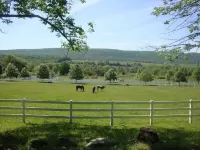 Shawnee Mountain Chalet