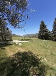 LAMAOLILOU