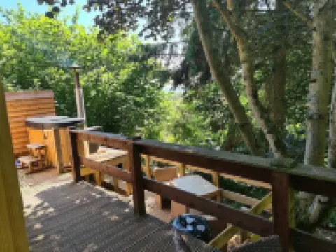 Rowan Tree Lodge with Hot Tub, a beautiful Woodland Retreat in Shropshire