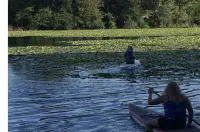 Unique Waterfront Cabin on High Falls Flowage