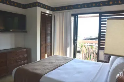 Oceanview Kalapaki Beach Healthy / Non-toxic 2-bedroom condo with WiFi, AC