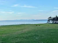Oceanfront, newly built, modern tiny home with beach access!