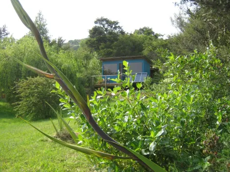 Woody Mamaku Retreat .  Eco stay close to  sea and nature.