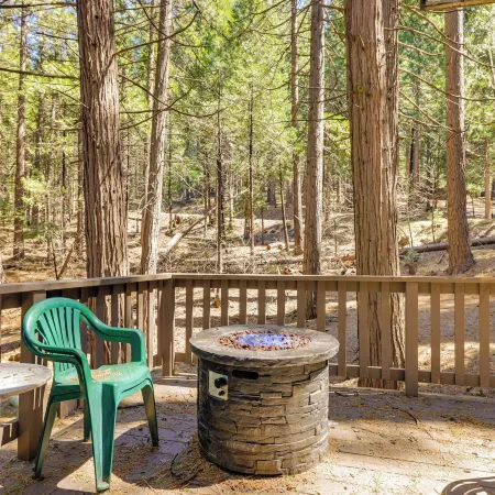 Hike, Ski & Sip: Arnold Cabin 4 Mi to State Park!