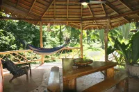 Hotel la Costa de Papito Hotels in Cocles