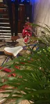 Ujo Tulum - Homestay