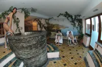 Hotel Miravalle - spa