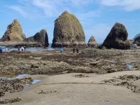 Harborview Inn & RV Park