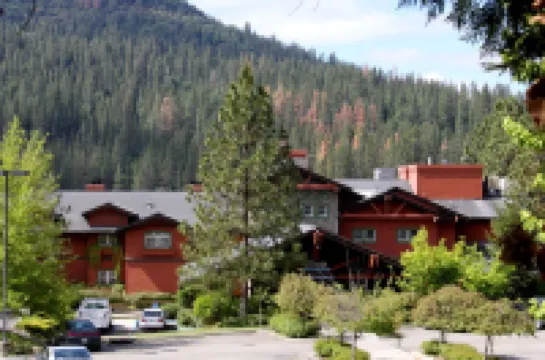 The Pines Resort