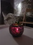 薩拉熱窩阿茲札酒店 - SPA