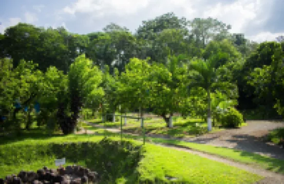 Arenal Descanso
