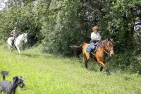 Azienda Agricola Tenuta di Corbara Hotel a Baschi