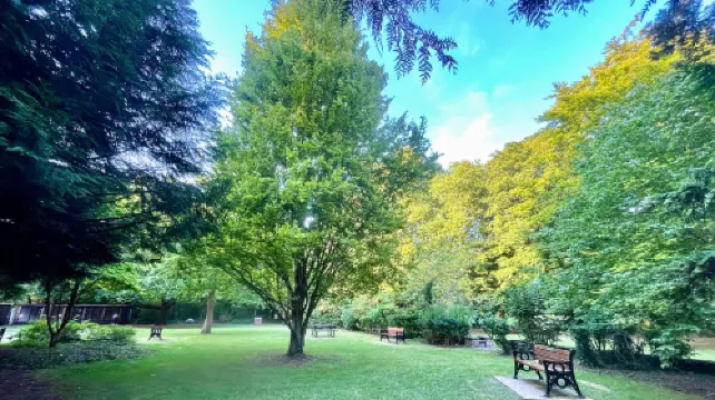 近泰晤士河的梅登黑德現代一卧室公寓