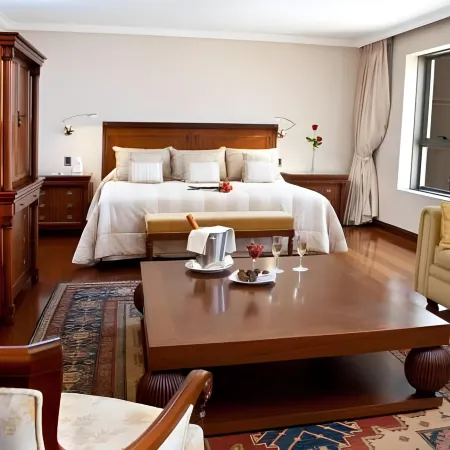 Hotel Plaza El Bosque Ebro